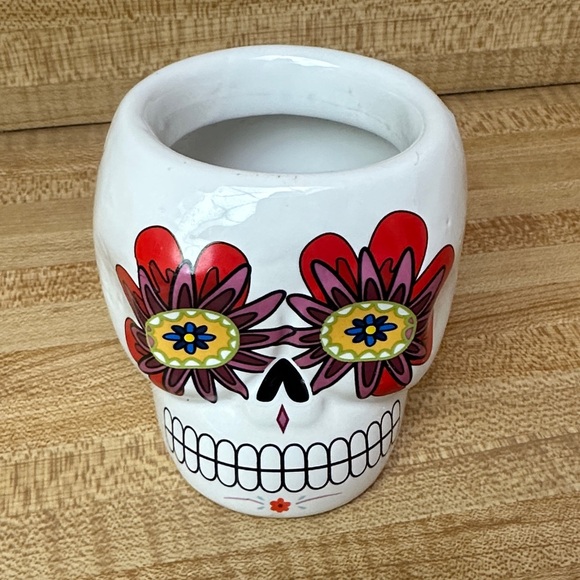 Skull Succulent Planter - Picture 1 of 2